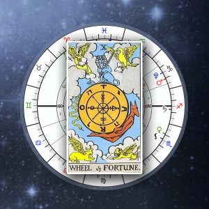 Napi Kártya 2024.02.26